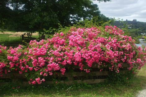 Photo of property in 24 Mary Street, Te Kuiti, 3910