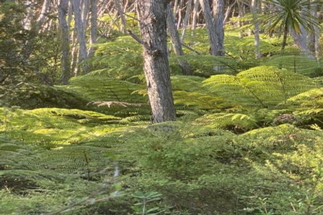 Photo of property in 4 Ferngully Road, Helensville, Kaukapakapa, 0871