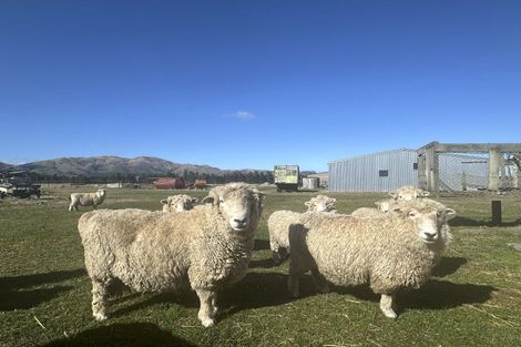 Photo of property in 103 Selbie Road, Lowther, Lumsden, 9793