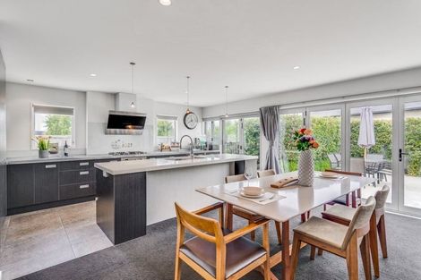 Photo of property in 16 Longspur Avenue, Wigram, Christchurch, 8025