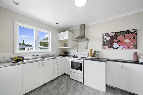 Photo of property in 96 Tiro Tiro Road, Levin, 5510