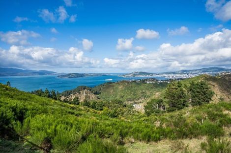 Photo of property in 10 Cessna Way, Newlands, Wellington, 6037