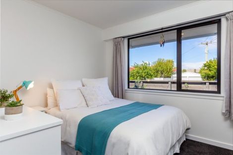 Photo of property in 28a Monro Street, Blenheim, 7201