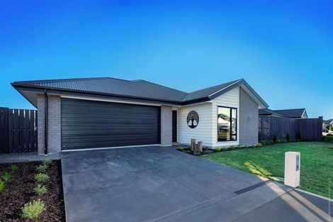 Photo of property in 30 Rothwell Drive, Rolleston, 7615