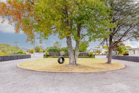 Photo of property in 19 Francis Drake Street, Waipukurau, 4200