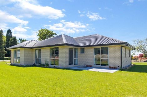 Photo of property in 224 Queen Street, Waimate, 7924