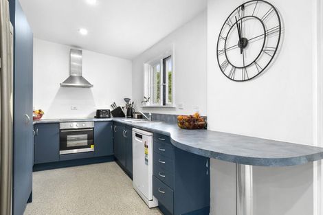 Photo of property in 8 Massey Avenue, Saint Clair, Dunedin, 9012