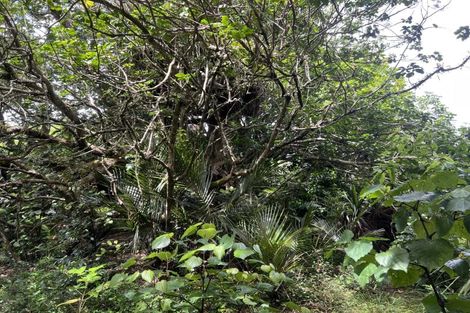 Photo of property in 568 Brown Road, Mangawhai, Kaiwaka, 0573