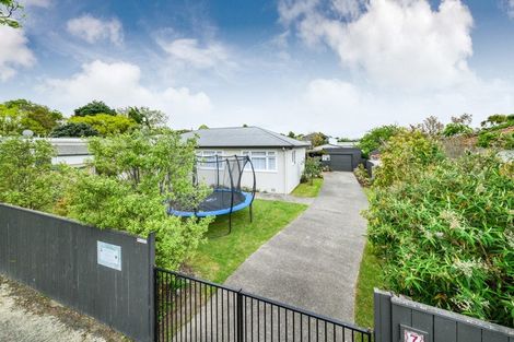 Photo of property in 7 Ihle Street, Terrace End, Palmerston North, 4410