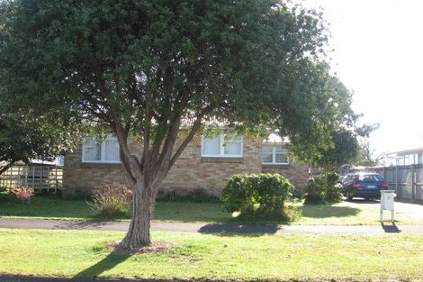 Photo of property in 52 Yvonne Street, Melville, Hamilton, 3206