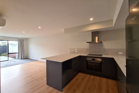 Photo of property in 5/505 Tuam Street, Phillipstown, Christchurch, 8011