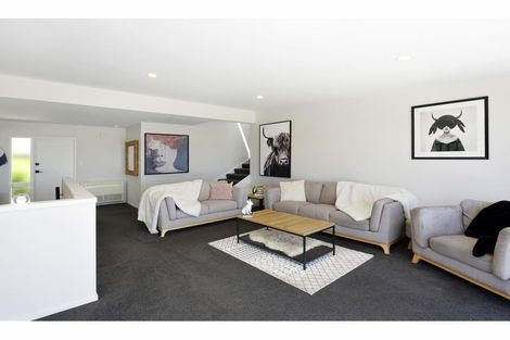 Photo of property in 16 Windleborn Place, Richmond, 7020