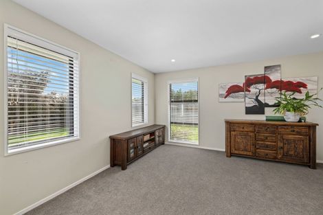 Photo of property in 17 Mcnabb Place, Witherlea, Blenheim, 7201