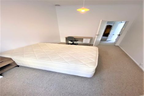 Photo of property in 17 Adams Terrace, Aro Valley, Wellington, 6021