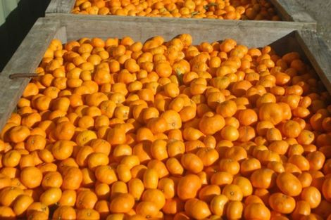 Photo of property in 52 Saddler Road, Muriwai, Gisborne, 4072