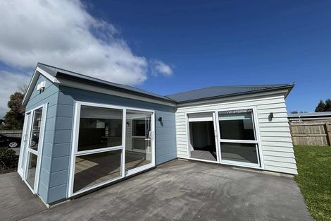Photo of property in 32a Brandon Street, Featherston, 5710