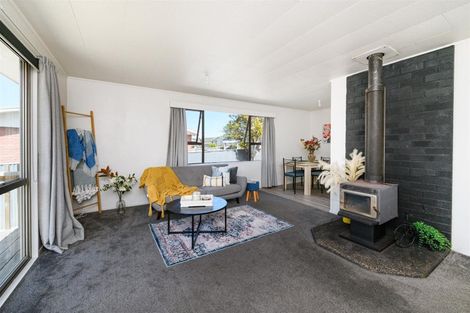 Photo of property in 24 Fergusson Street, Marton, 4710