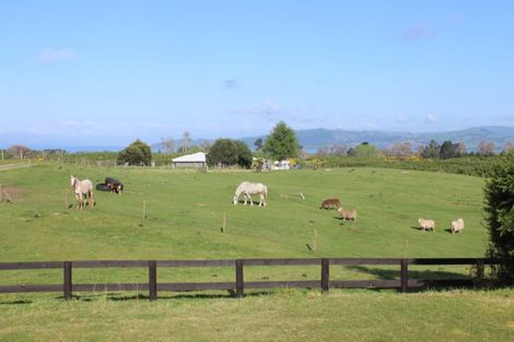 Photo of property in 12 Michaels Way, Maunganamu, Taupo, 3379