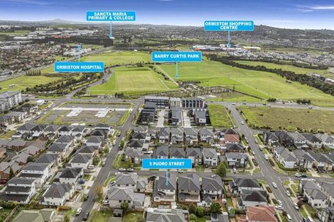 Photo of property in 5 Puoro Street, Flat Bush, Auckland, 2019