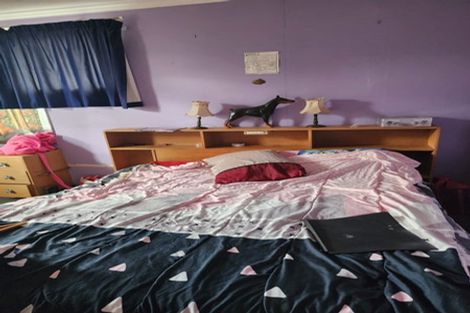 Photo of property in 19 Fitzherbert Avenue, Springvale, Whanganui, 4501