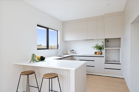 Photo of property in 46 Taipahitini Road, Rosehill, 2113