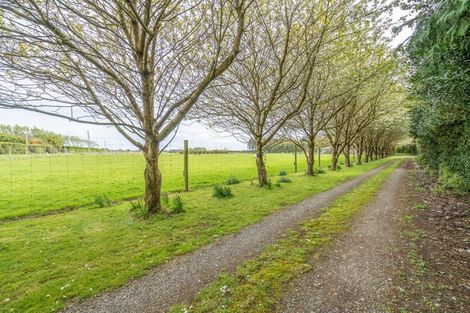 Photo of property in 644 Ryal Bush Wallacetown Road, Wallacetown, Invercargill, 9874