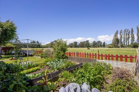 Photo of property in 13 Fairbrother Street, Carterton, 5713