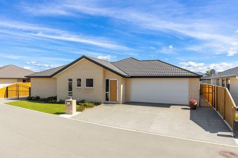 Photo of property in 23 Korari Grove, Redwoodtown, Blenheim, 7201