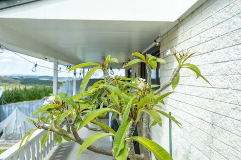 Photo of property in Babylon Coast Road, Parore, Dargaville, 0373