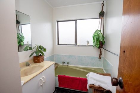 Photo of property in 14 Miller Place, Ngatea, 3503