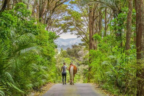 Photo of property in 101 Taylor Road, Waimauku, 0882
