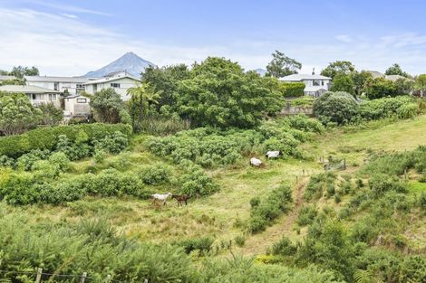 Photo of property in 8 Kelvin Place, Westown, New Plymouth, 4310