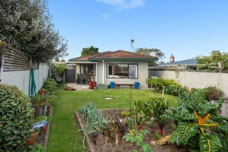 Photo of property in 72c Bellevue Road, Brookfield, Tauranga, 3110