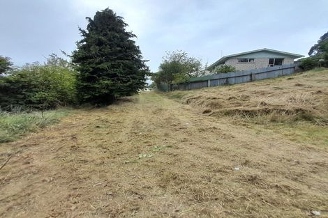 Photo of property in 46 Auskerry Street, Palmerston, 9430