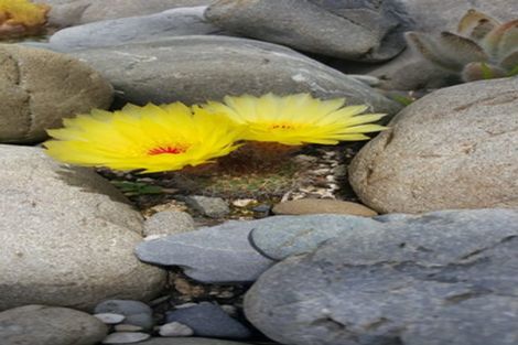 Photo of property in 22 Aragon Grove, Kingsley Heights, Upper Hutt, 5018