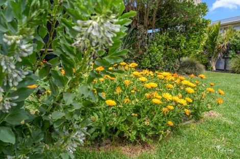 Photo of property in 6 Bayly Street, Baylys Beach, Dargaville, 0377