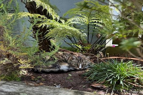 Photo of property in 1/54 Cooper Street, Karori, Wellington, 6012