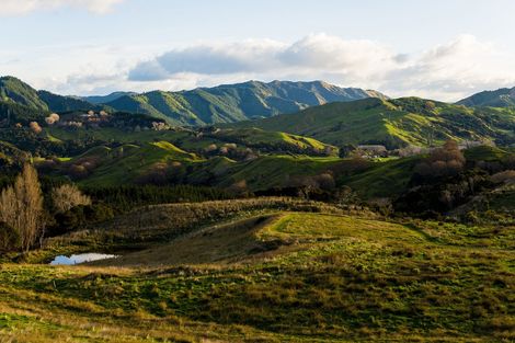 Photo of property in 276 Gaddums Hill Road, Outer Kaiti, Gisborne, 4010