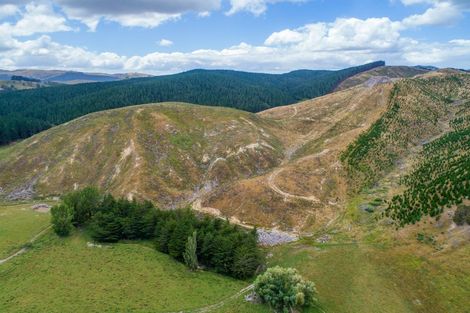 Photo of property in 3525 Masterton Castlepoint Road, Mangapakeha, Masterton, 5889