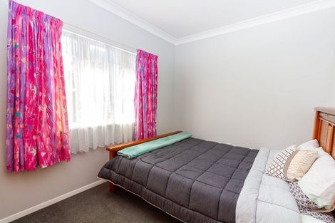 Photo of property in 456 Ruahine Street, Terrace End, Palmerston North, 4410