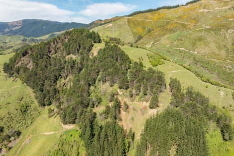 Photo of property in 14 Hillplough Heights, Richmond, 7020