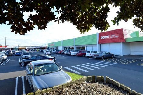 Photo of property in 29 Sycamore Drive, Sunnynook, Auckland, 0620