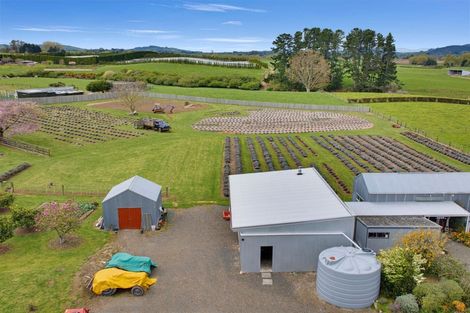 Photo of property in 169 Brotherhood Road, Kihikihi, Te Awamutu, 3875