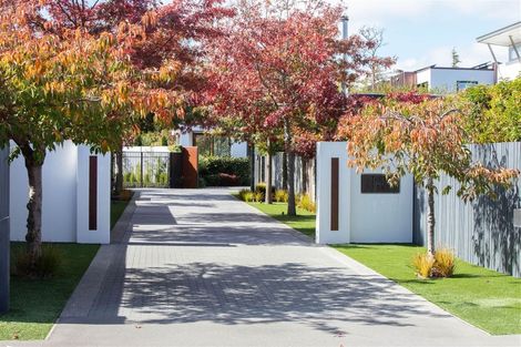 Photo of property in 36 Clifford Avenue, Merivale, Christchurch, 8014
