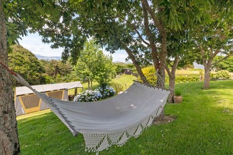 Photo of property in 288 Bellville Drive, Coromandel, 3506