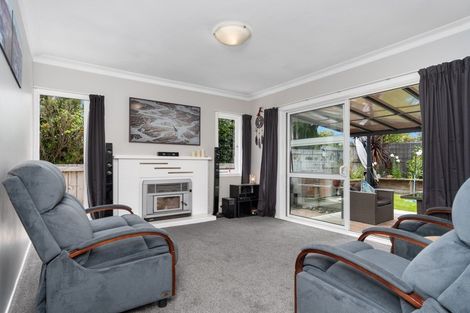Photo of property in 14 Cook Street, Gate Pa, Tauranga, 3112