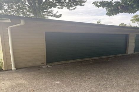 Photo of property in 17 Aronui Terrace, Kelston, Auckland, 0602