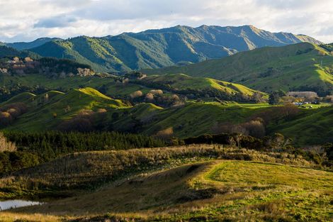 Photo of property in 276 Gaddums Hill Road, Outer Kaiti, Gisborne, 4010