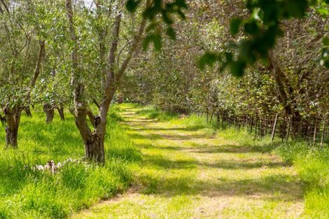 Photo of property in 179 Bidwills Cutting Road, Morison Bush, Greytown, 5794