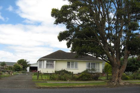 Photo of property in 102 Helvetia Road, Pukekohe, 2120